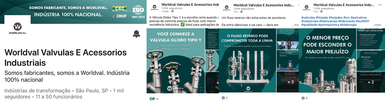 LinkedIn Worldval